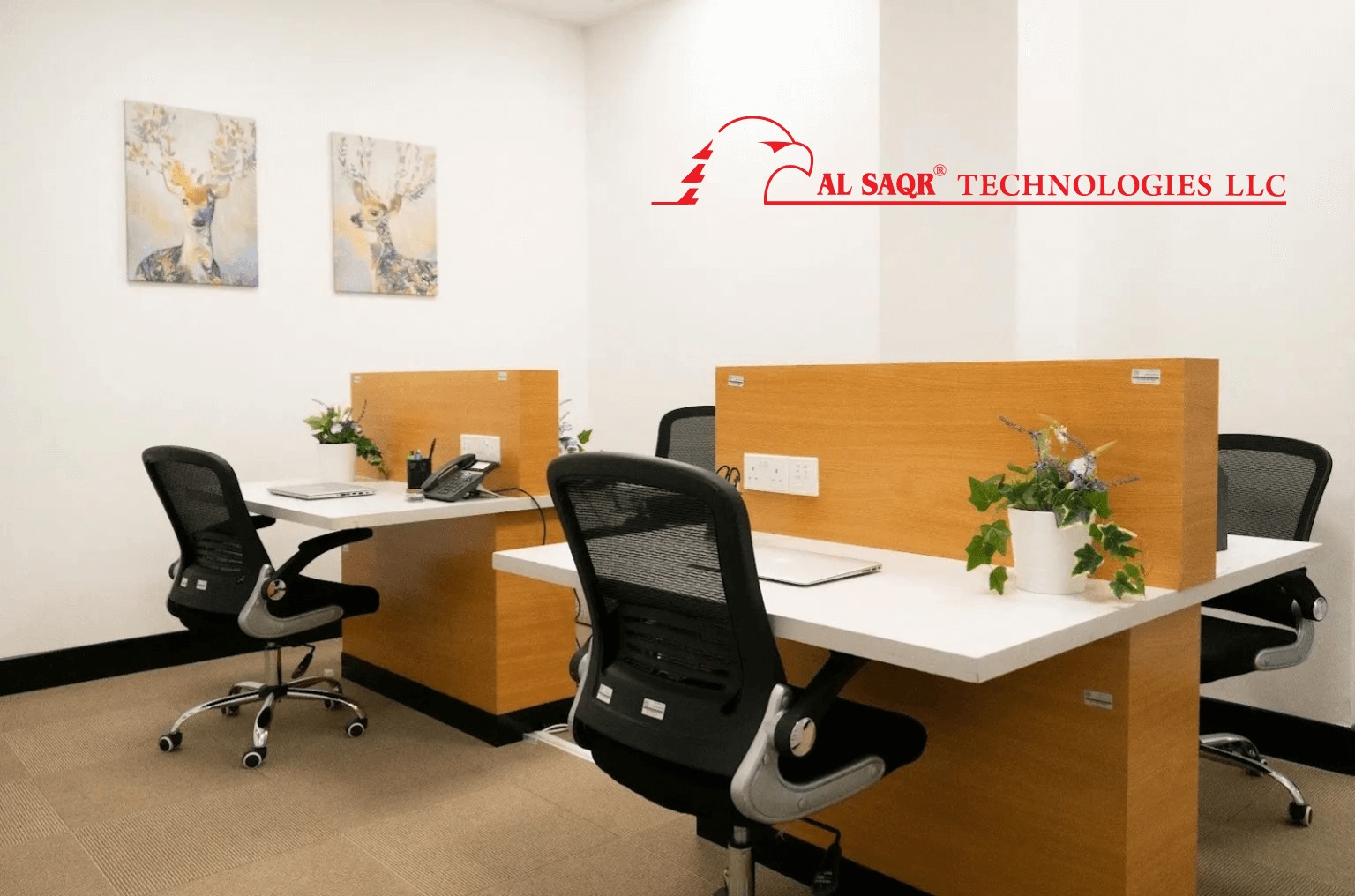 Al Saqr Technologies LLC